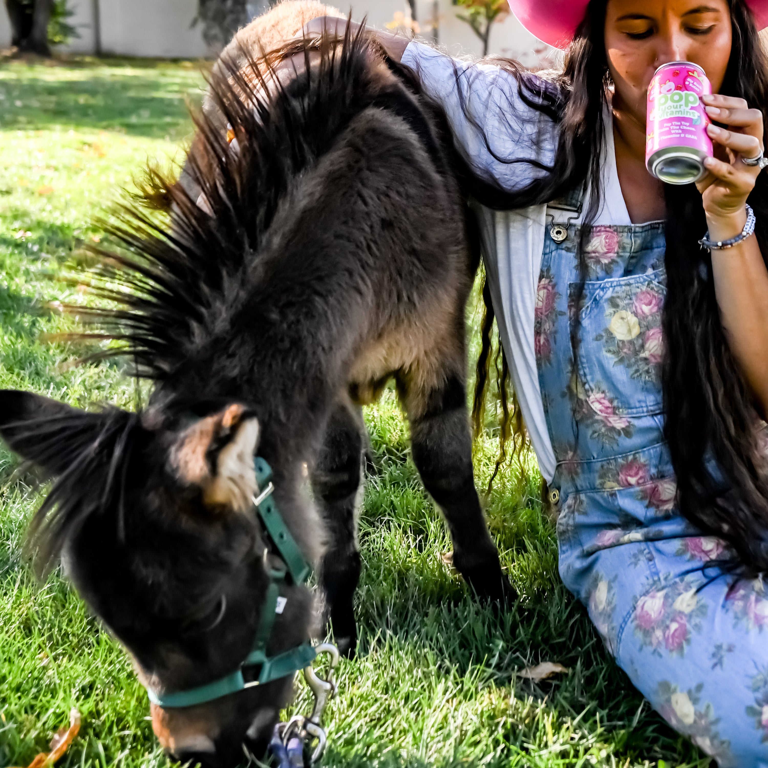 Strawberry Mint – Mood Support