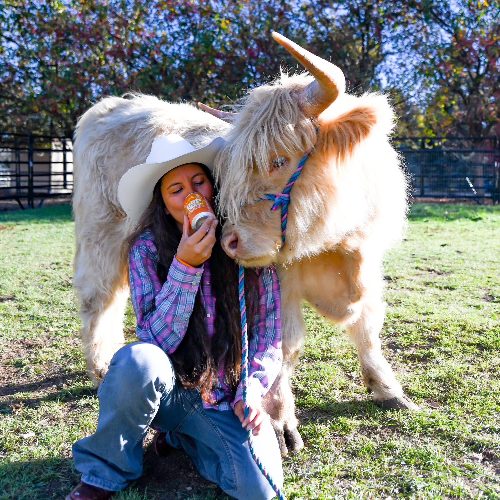 Orange Cream – Daily Essentials