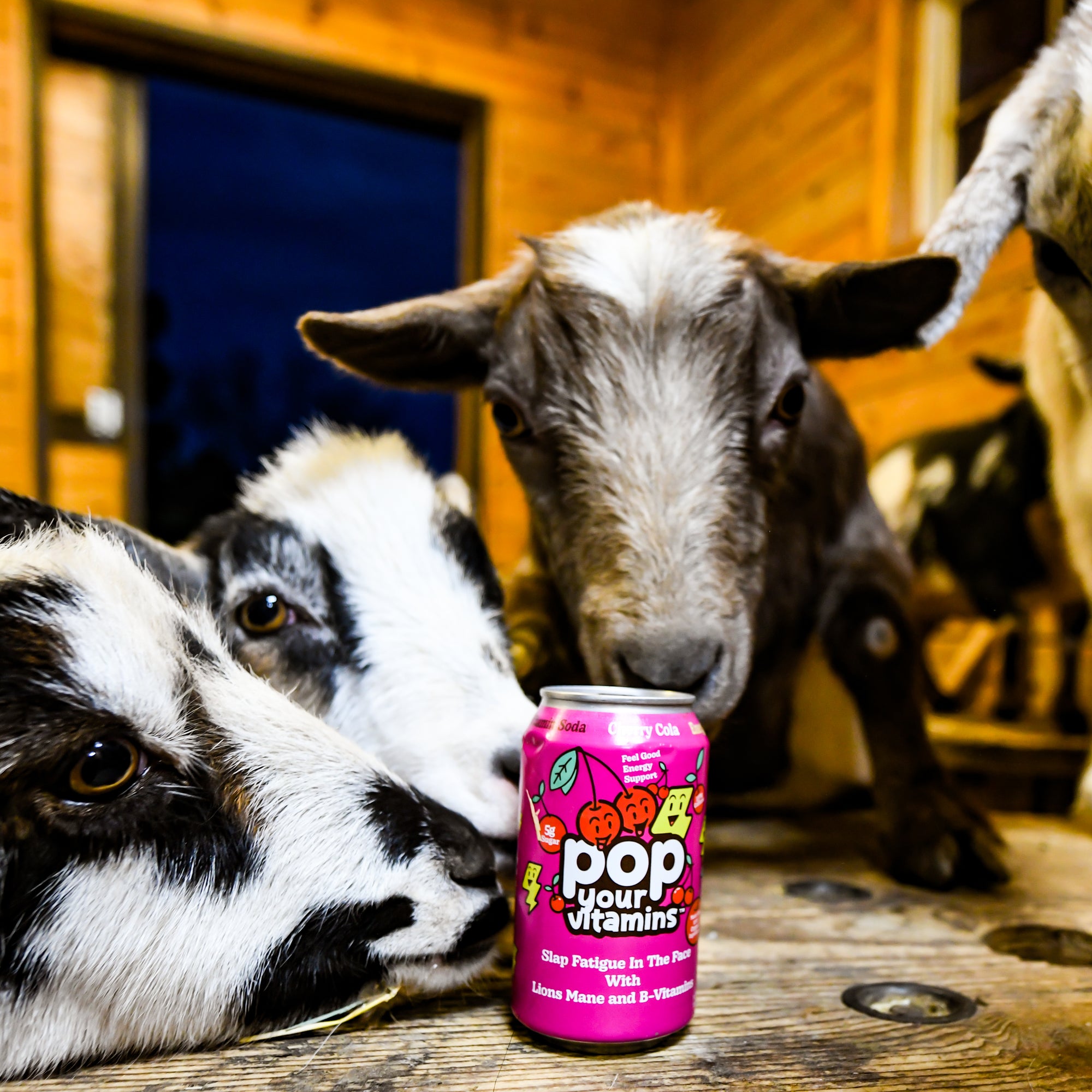 Cherry Cola - Feel Good Energy Support